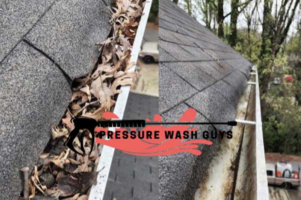 Gutter Cleaning in Charlotte